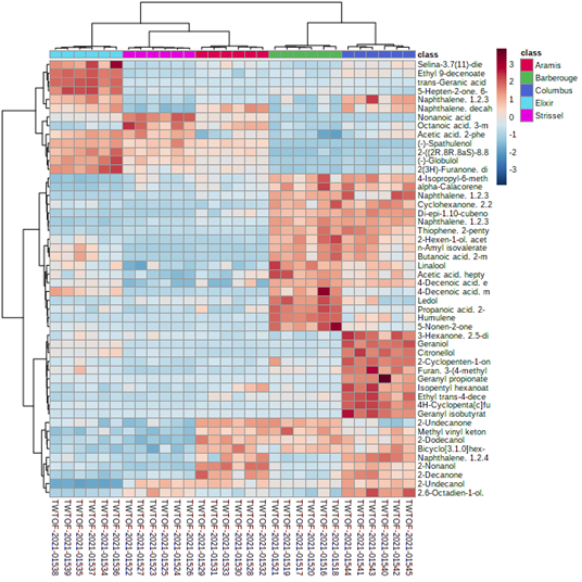 Minibeer heatmap